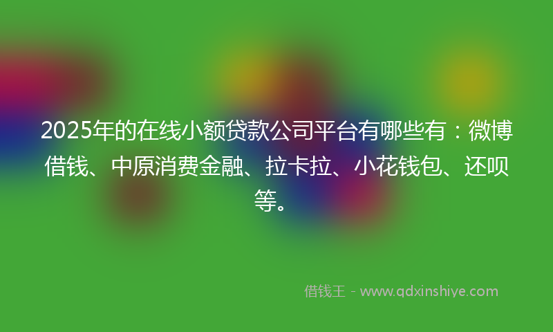 2025年的在线小额贷款公司平台有哪些有：微博借钱、中原消费金融、拉卡拉、小花钱包、还呗等。