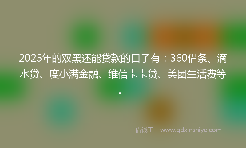2025年的双黑还能贷款的口子有：360借条、滴水贷、度小满金融、维信卡卡贷、美团生活费等。