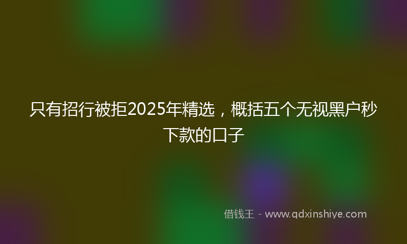 只有招行被拒2025年精选，概括五个无视黑户秒下款的口子