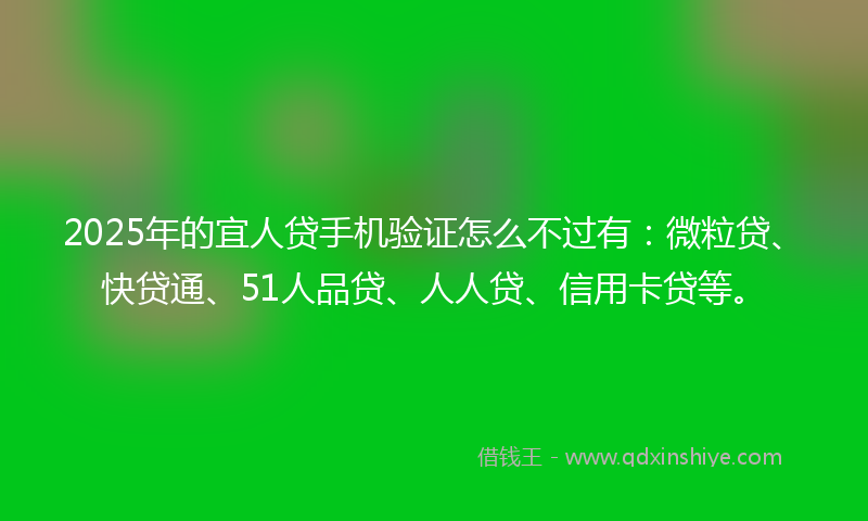 2025年的宜人贷手机验证怎么不过有：微粒贷、快贷通、51人品贷、人人贷、信用卡贷等。