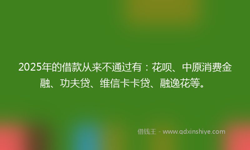 2025年的借款从来不通过有：花呗、中原消费金融、功夫贷、维信卡卡贷、融逸花等。