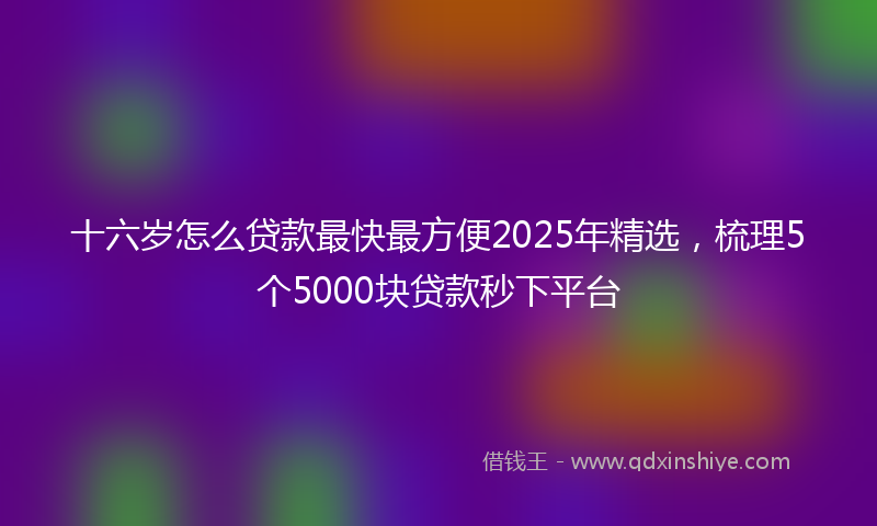 十六岁怎么贷款最快最方便2025年精选，梳理5个5000块贷款秒下平台