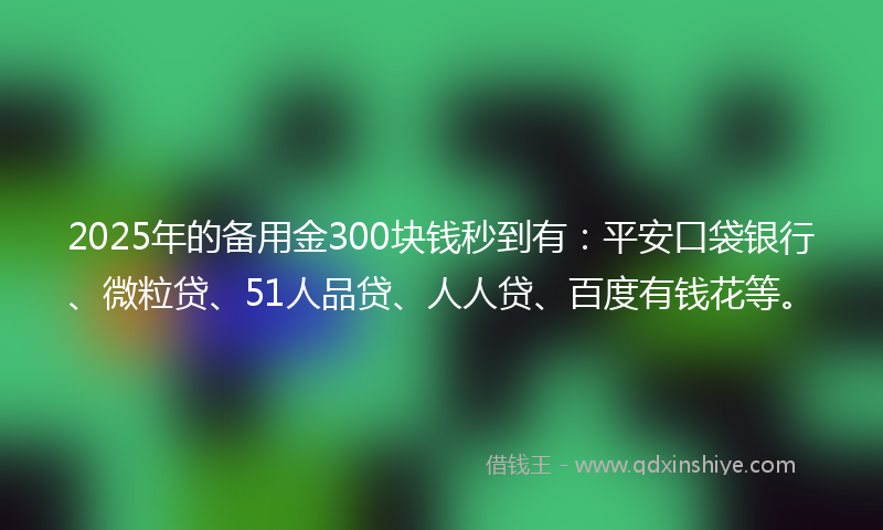 2025年的备用金300块钱秒到有：平安口袋银行、微粒贷、51人品贷、人人贷、百度有钱花等。