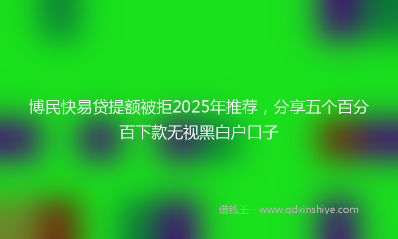 博民快易贷提额被拒2025年推荐，分享五个百分百下款无视黑白户口子