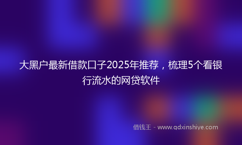 大黑户最新借款口子2025年推荐，梳理5个看银行流水的网贷软件
