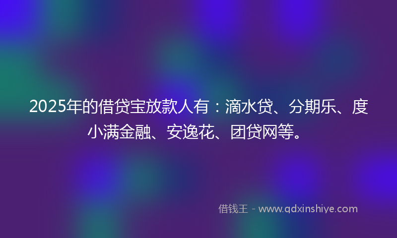 2025年的借贷宝放款人有：滴水贷、分期乐、度小满金融、安逸花、团贷网等。