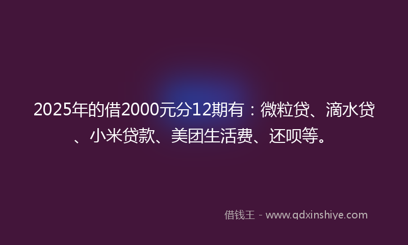 2025年的借2000元分12期有：微粒贷、滴水贷、小米贷款、美团生活费、还呗等。