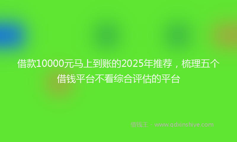 借款10000元马上到账的2025年推荐，梳理五个借钱平台不看综合评估的平台