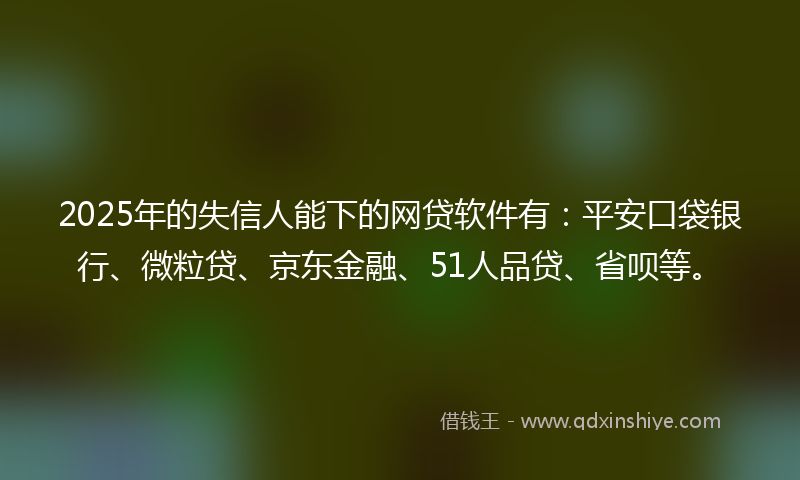 2025年的失信人能下的网贷软件有：平安口袋银行、微粒贷、京东金融、51人品贷、省呗等。