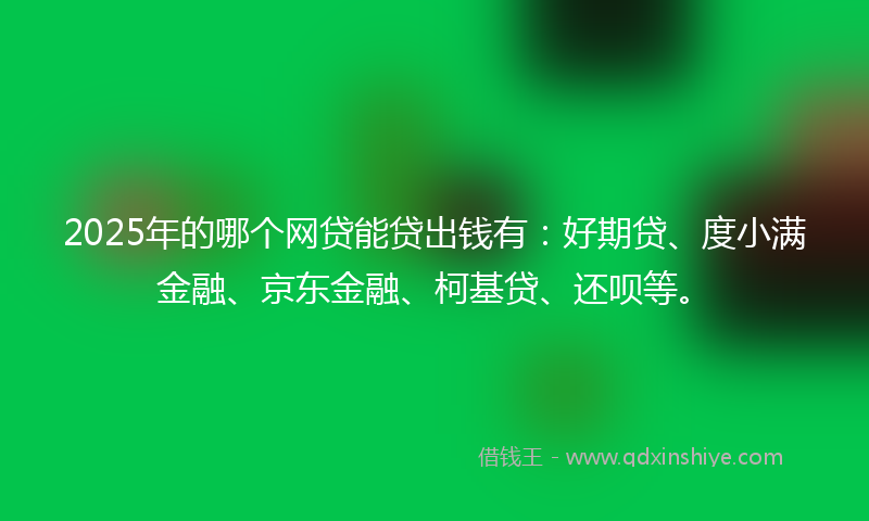 2025年的哪个网贷能贷出钱有：好期贷、度小满金融、京东金融、柯基贷、还呗等。