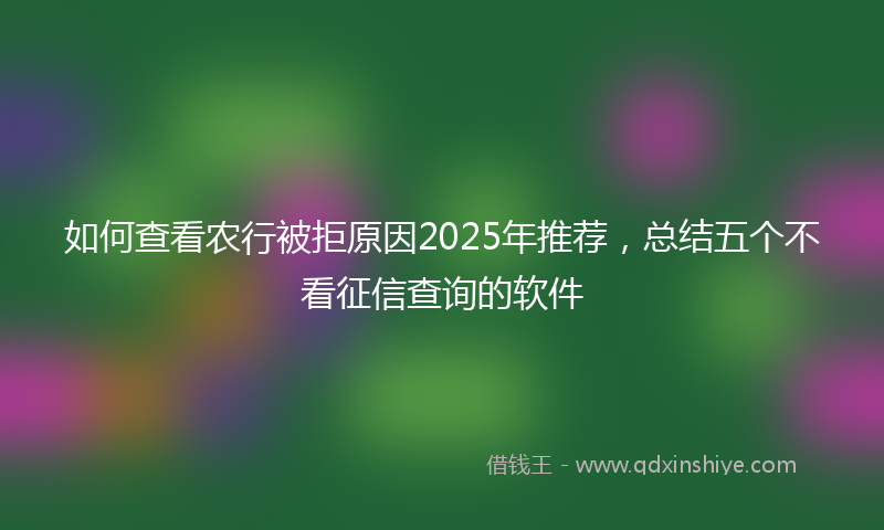 如何查看农行被拒原因2025年推荐，总结五个不看征信查询的软件