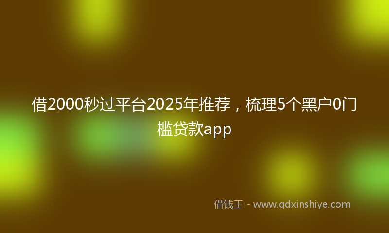 借2000秒过平台2025年推荐，梳理5个黑户0门槛贷款app