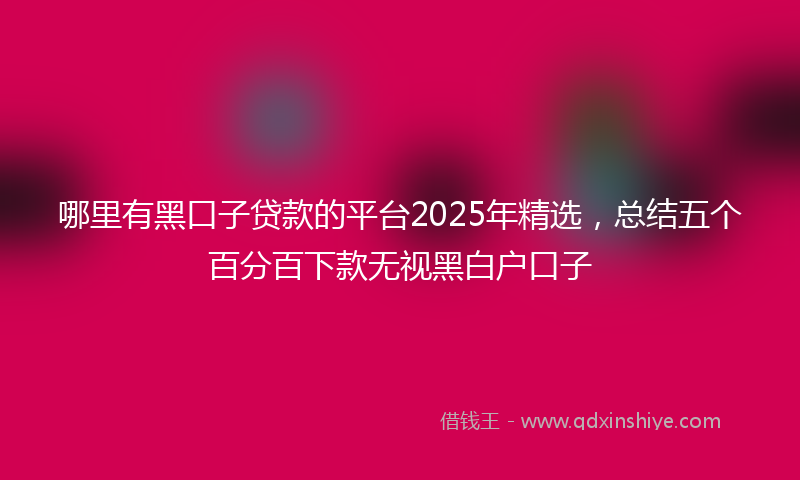 哪里有黑口子贷款的平台2025年精选，总结五个百分百下款无视黑白户口子