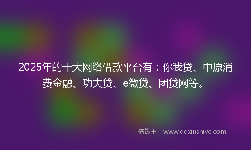 2025年的十大网络借款平台有：你我贷、中原消费金融、功夫贷、e微贷、团贷网等。