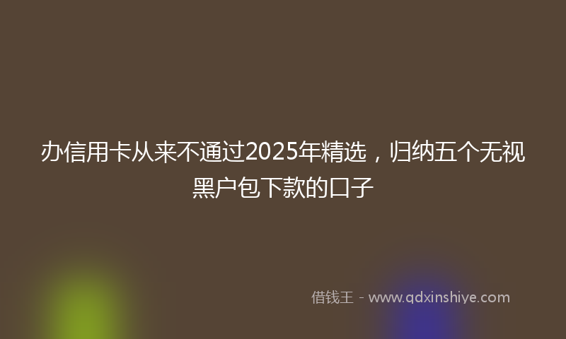 办信用卡从来不通过2025年精选，归纳五个无视黑户包下款的口子