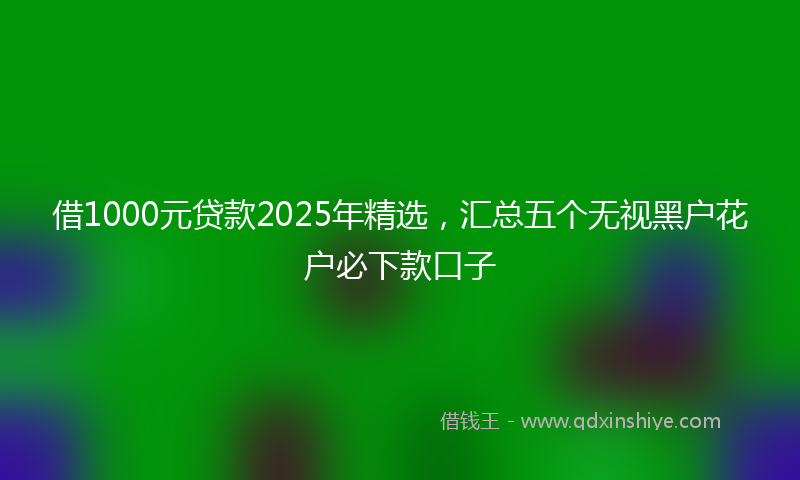 借1000元贷款2025年精选，汇总五个无视黑户花户必下款口子