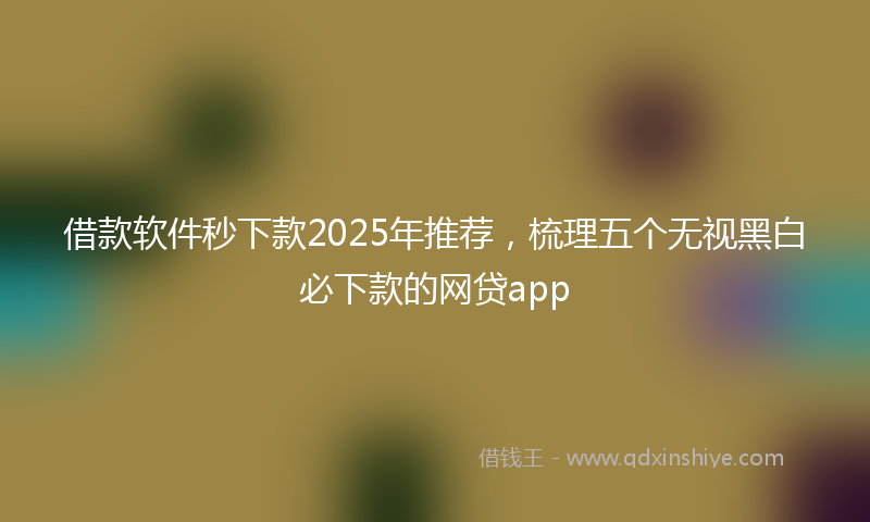 借款软件秒下款2025年推荐，梳理五个无视黑白必下款的网贷app
