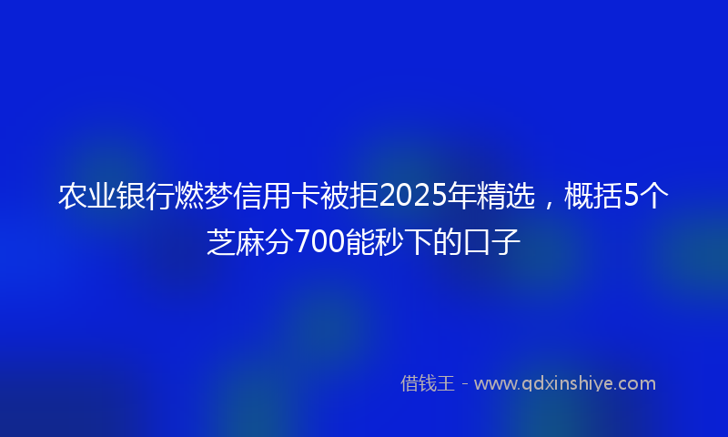 农业银行燃梦信用卡被拒2025年精选，概括5个芝麻分700能秒下的口子