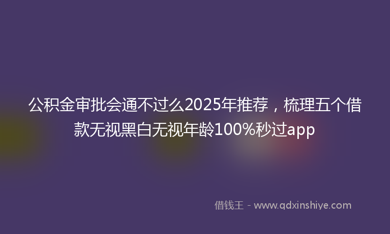 公积金审批会通不过么2025年推荐，梳理五个借款无视黑白无视年龄100%秒过app