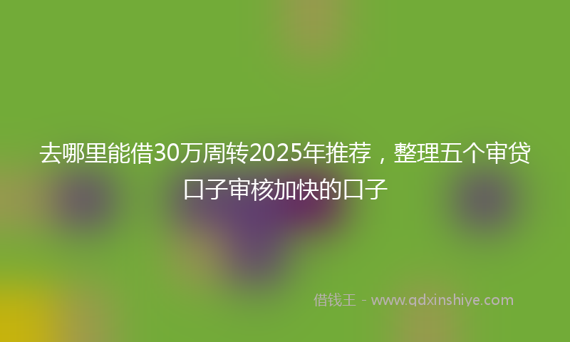 去哪里能借30万周转2025年推荐，整理五个审贷口子审核加快的口子