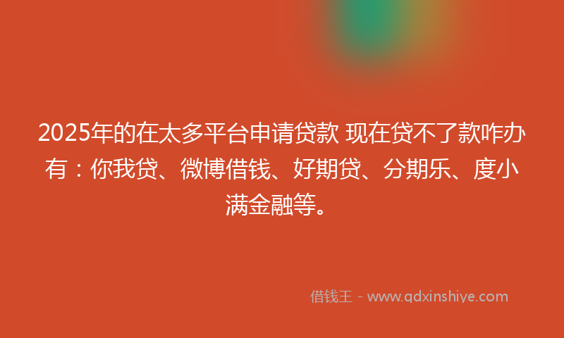 2025年的在太多平台申请贷款 现在贷不了款咋办有：你我贷、微博借钱、好期贷、分期乐、度小满金融等。