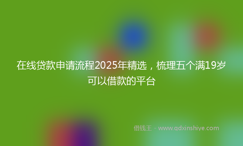 在线贷款申请流程2025年精选，梳理五个满19岁可以借款的平台