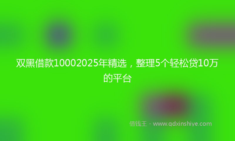双黑借款10002025年精选，整理5个轻松贷10万的平台