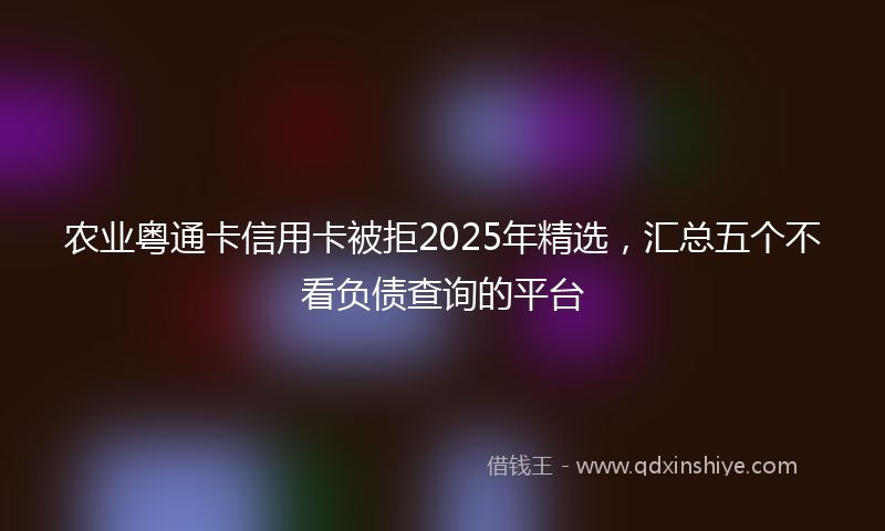 农业粤通卡信用卡被拒2025年精选，汇总五个不看负债查询的平台