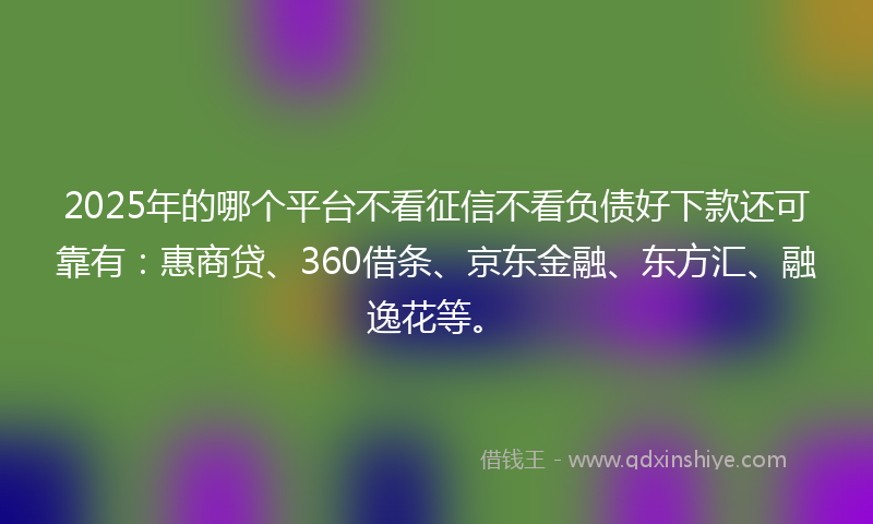 2025年的哪个平台不看征信不看负债好下款还可靠有：惠商贷、360借条、京东金融、东方汇、融逸花等。