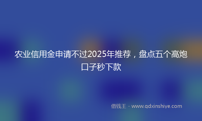 农业信用金申请不过2025年推荐，盘点五个高炮口子秒下款