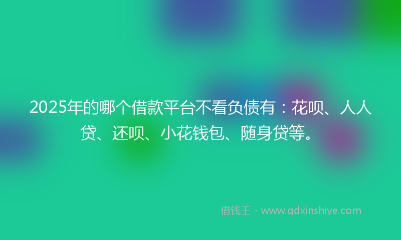 2025年的哪个借款平台不看负债有：花呗、人人贷、还呗、小花钱包、随身贷等。
