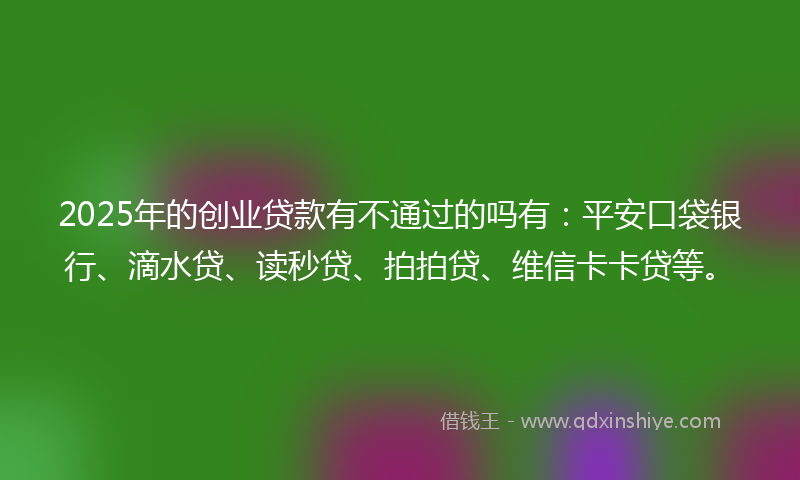 2025年的创业贷款有不通过的吗有：平安口袋银行、滴水贷、读秒贷、拍拍贷、维信卡卡贷等。