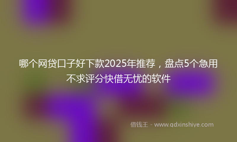 哪个网贷口子好下款2025年推荐，盘点5个急用不求评分快借无忧的软件