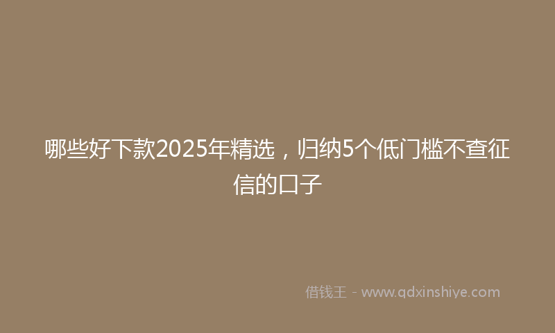 哪些好下款2025年精选，归纳5个低门槛不查征信的口子