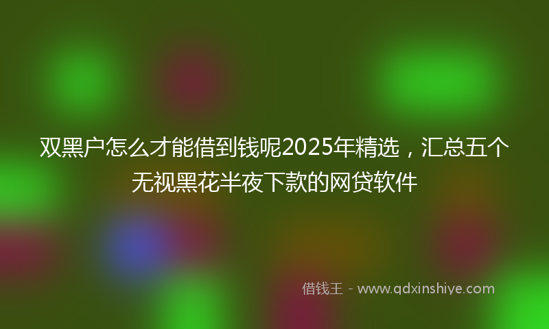 双黑户怎么才能借到钱呢2025年精选，汇总五个无视黑花半夜下款的网贷软件