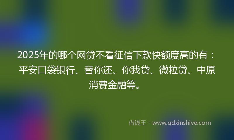 2025年的哪个网贷不看征信下款快额度高的有：平安口袋银行、替你还、你我贷、微粒贷、中原消费金融等。