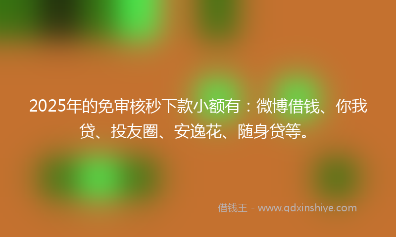 2025年的免审核秒下款小额有：微博借钱、你我贷、投友圈、安逸花、随身贷等。