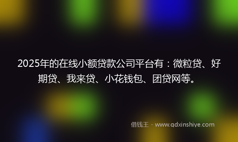 2025年的在线小额贷款公司平台有：微粒贷、好期贷、我来贷、小花钱包、团贷网等。