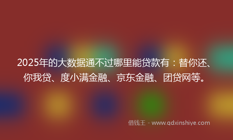 2025年的大数据通不过哪里能贷款有：替你还、你我贷、度小满金融、京东金融、团贷网等。