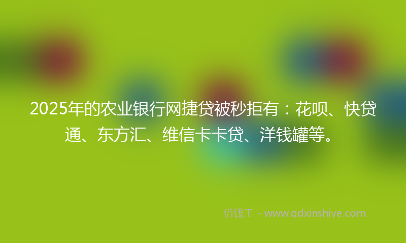 2025年的农业银行网捷贷被秒拒有：花呗、快贷通、东方汇、维信卡卡贷、洋钱罐等。