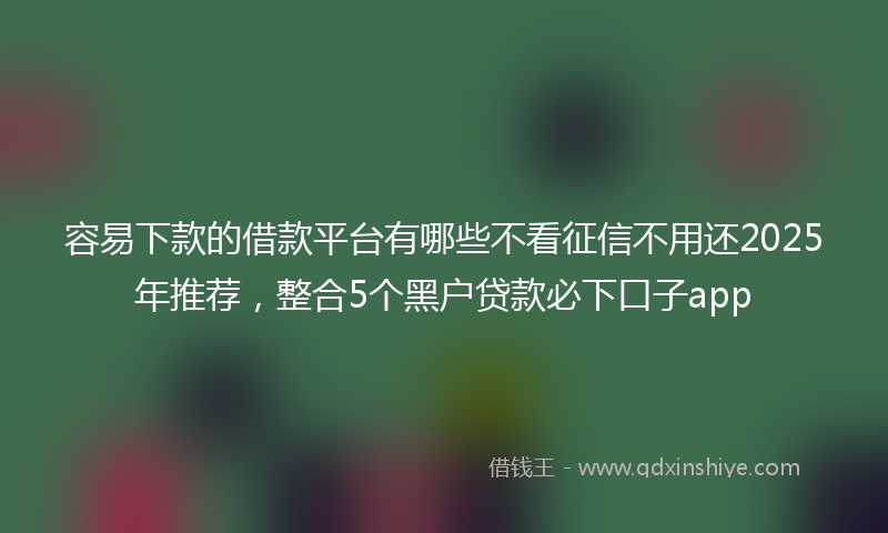 容易下款的借款平台有哪些不看征信不用还2025年推荐，整合5个黑户贷款必下口子app