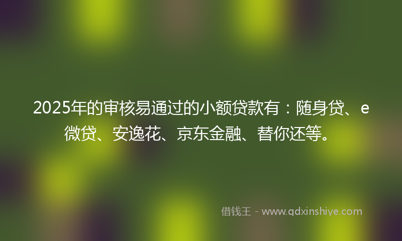 2025年的审核易通过的小额贷款有：随身贷、e微贷、安逸花、京东金融、替你还等。