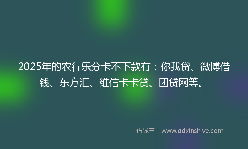 2025年的农行乐分卡不下款有：你我贷、微博借钱、东方汇、维信卡卡贷、团贷网等。