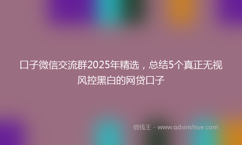 口子微信交流群2025年精选，总结5个真正无视风控黑白的网贷口子