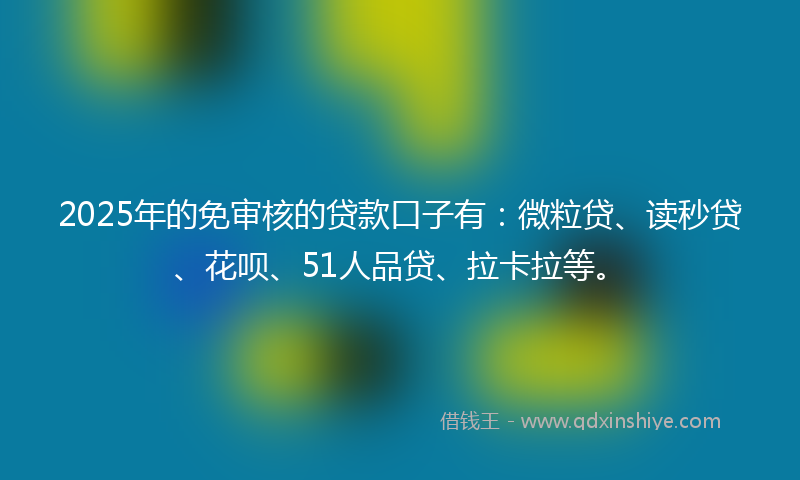 2025年的免审核的贷款口子有：微粒贷、读秒贷、花呗、51人品贷、拉卡拉等。