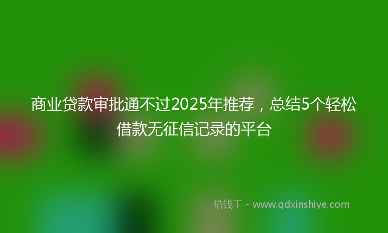 商业贷款审批通不过2025年推荐，总结5个轻松借款无征信记录的平台
