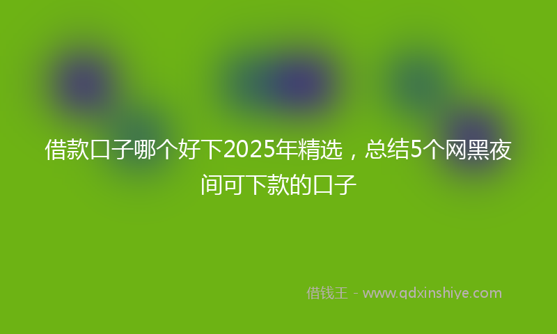 借款口子哪个好下2025年精选，总结5个网黑夜间可下款的口子