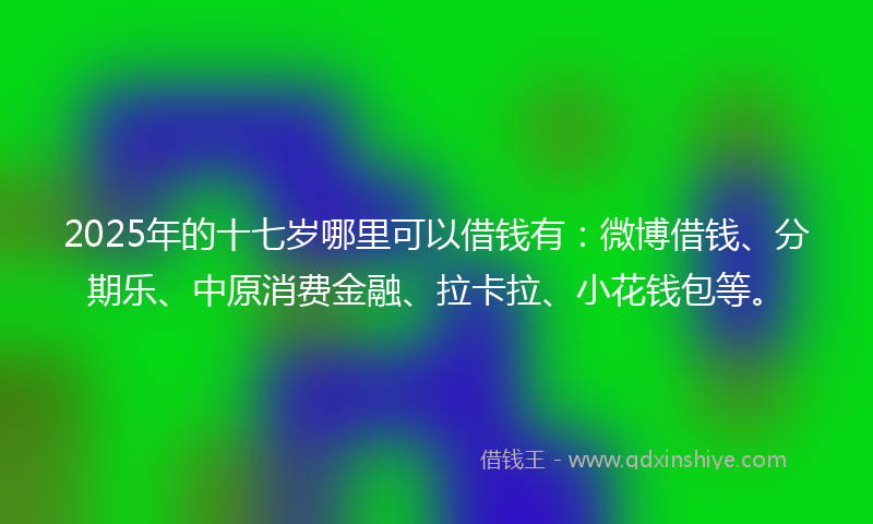 2025年的十七岁哪里可以借钱有：微博借钱、分期乐、中原消费金融、拉卡拉、小花钱包等。