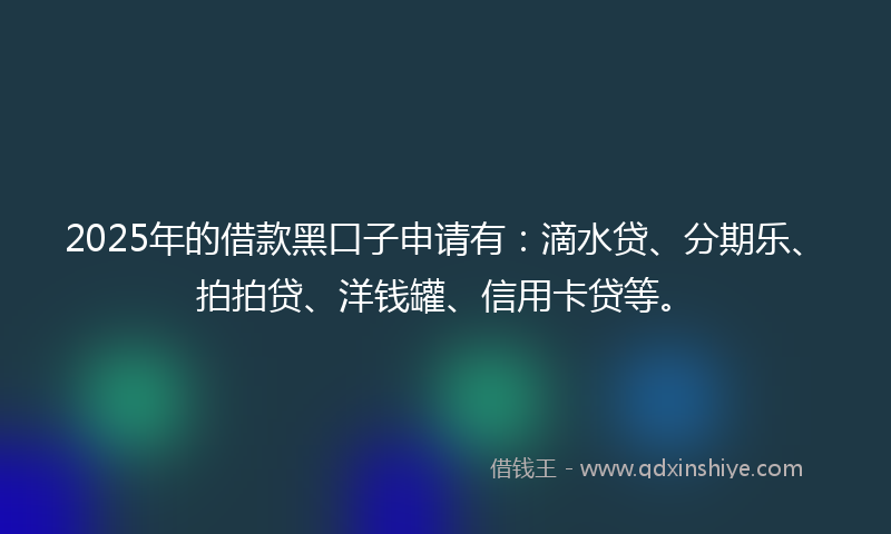 2025年的借款黑口子申请有：滴水贷、分期乐、拍拍贷、洋钱罐、信用卡贷等。
