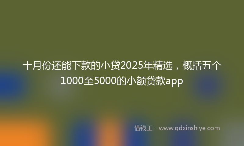 十月份还能下款的小贷2025年精选，概括五个1000至5000的小额贷款app